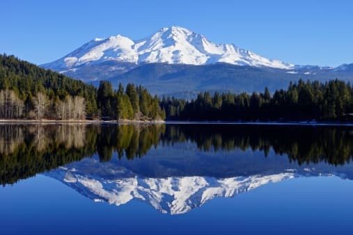 Redding