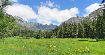 Hayfork