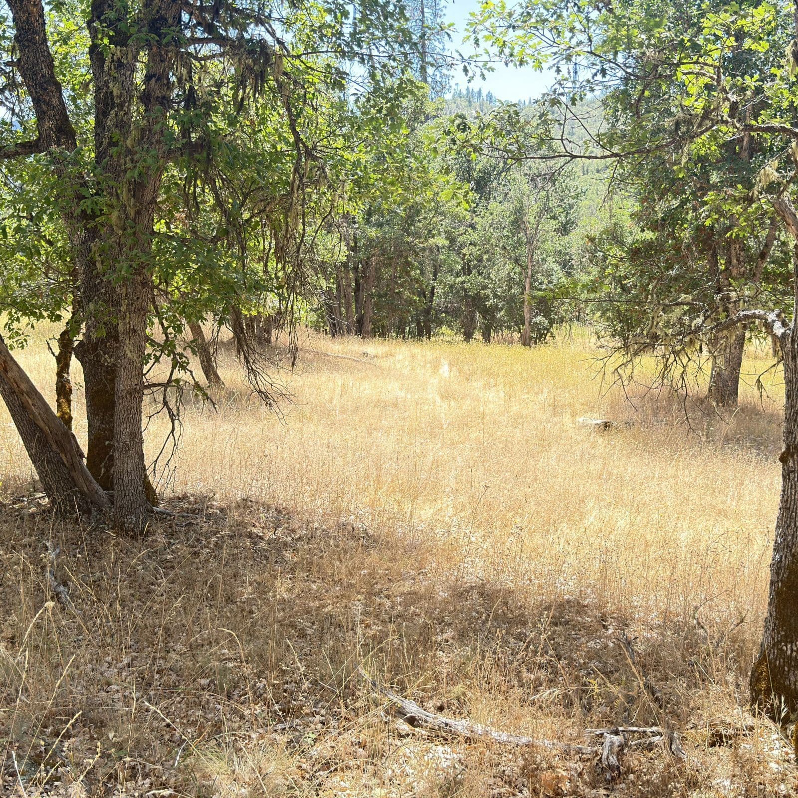 200 Creek Crossing Rd 3