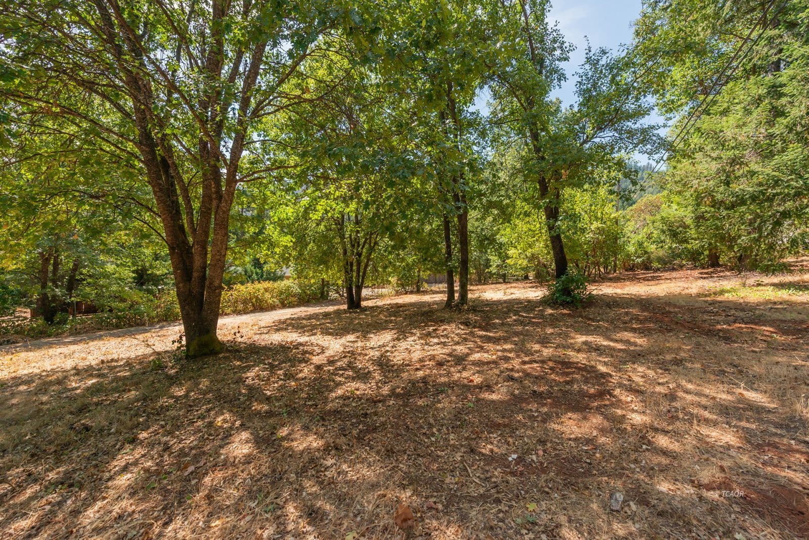 171 Connor Creek Rd 2