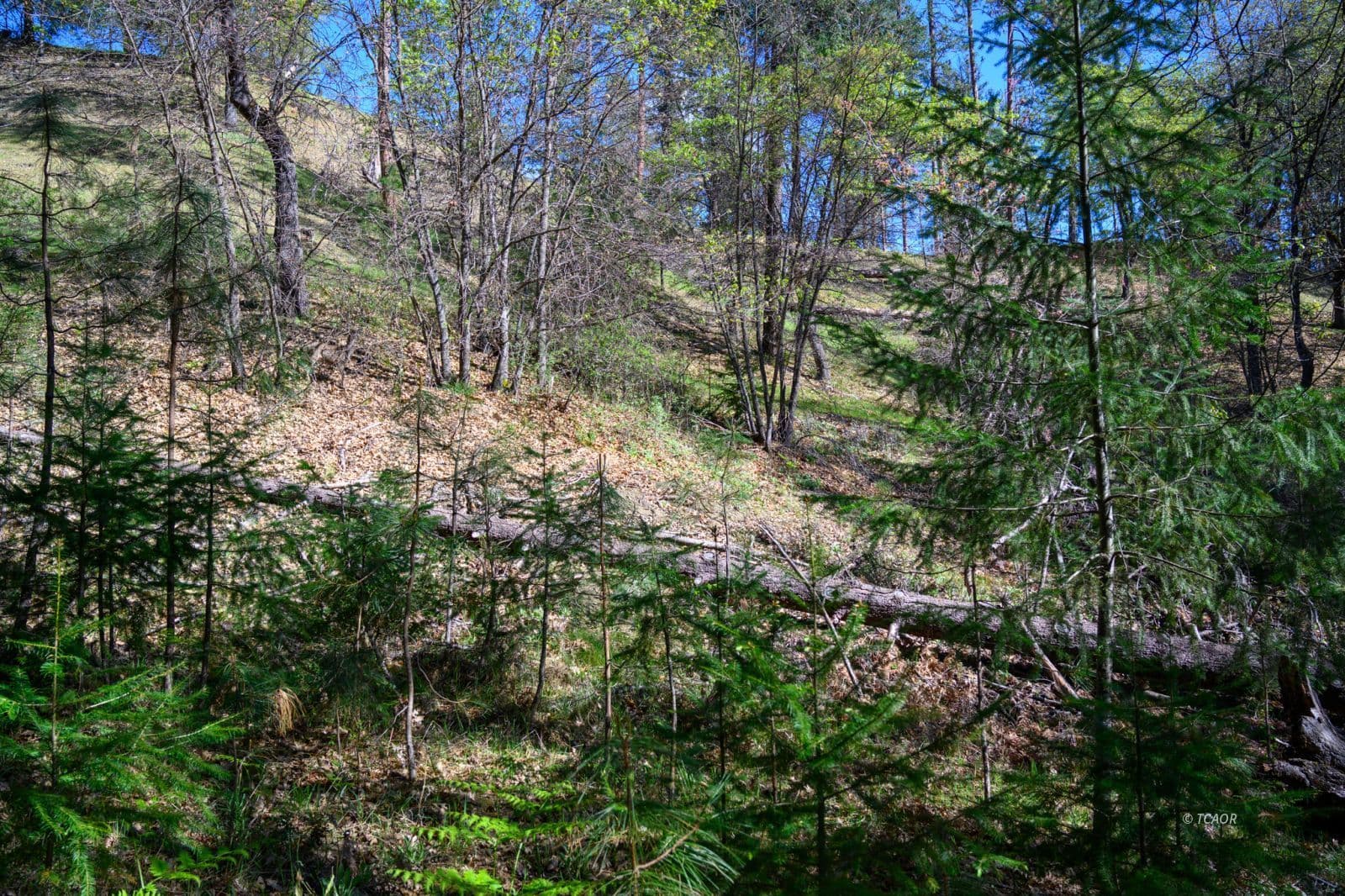 90 Hillcrest Dr 2