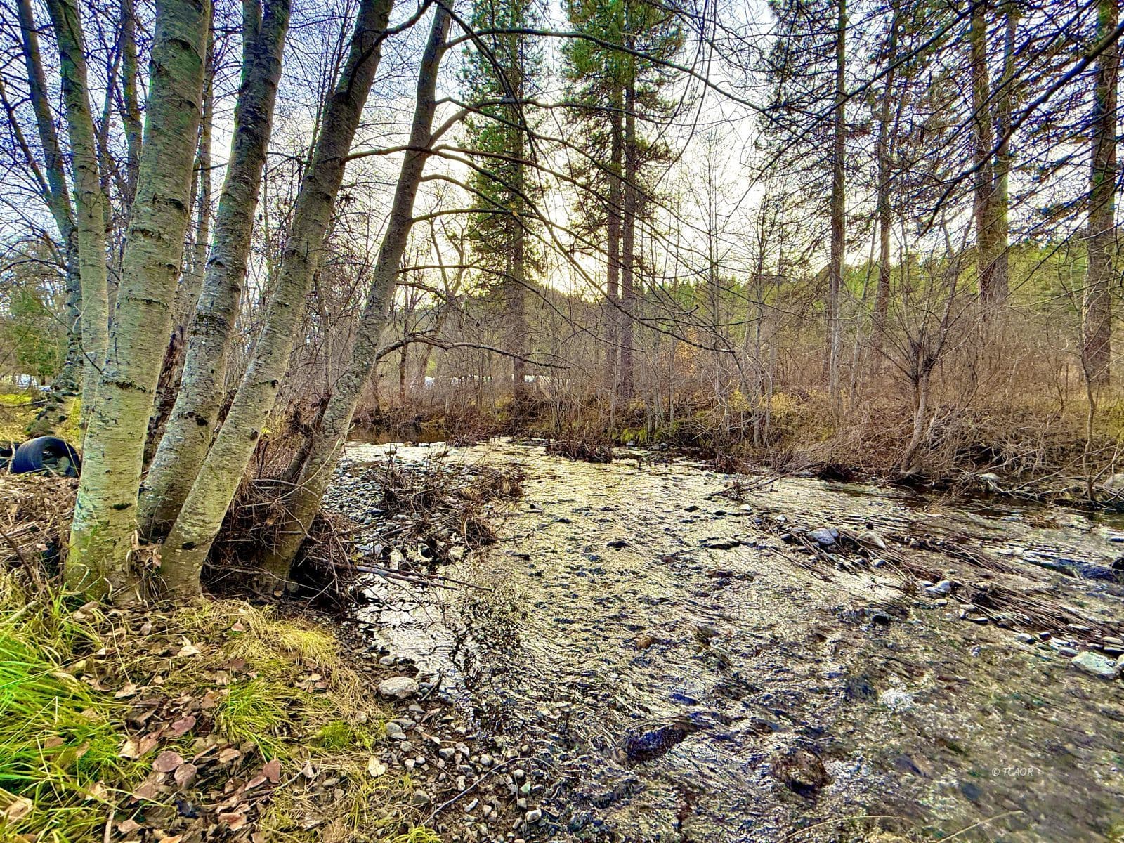 160 Hope Ln 3