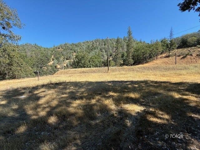 26410 State Highway 3