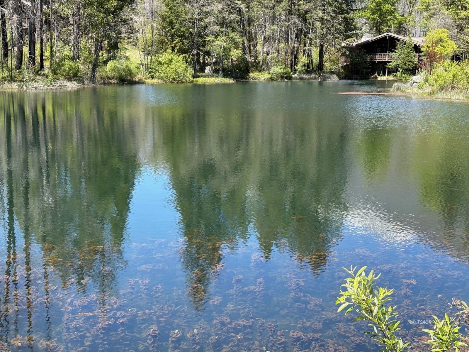 2103 Coffee Creek Rd 2