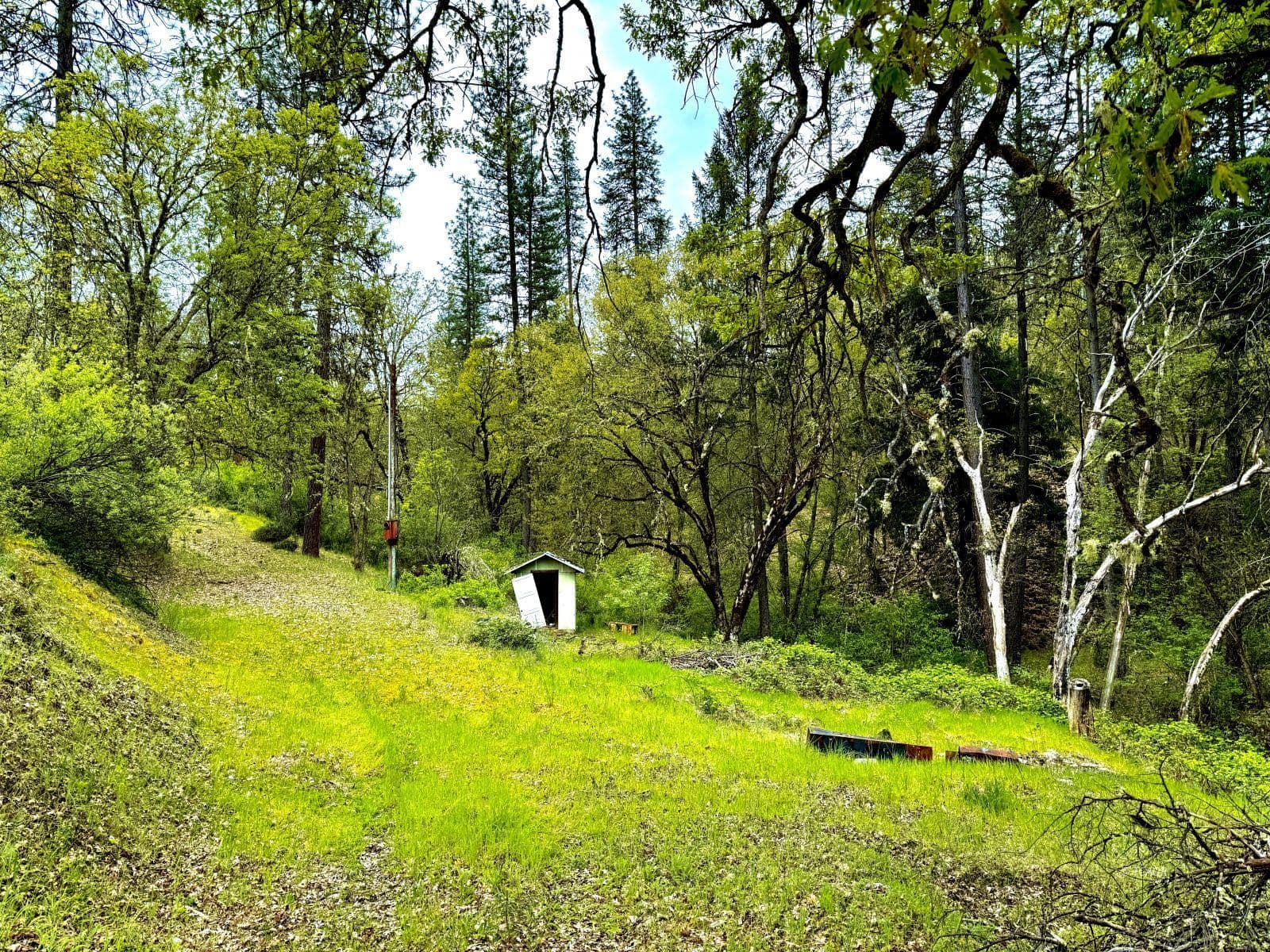 41 Viola Ln 3