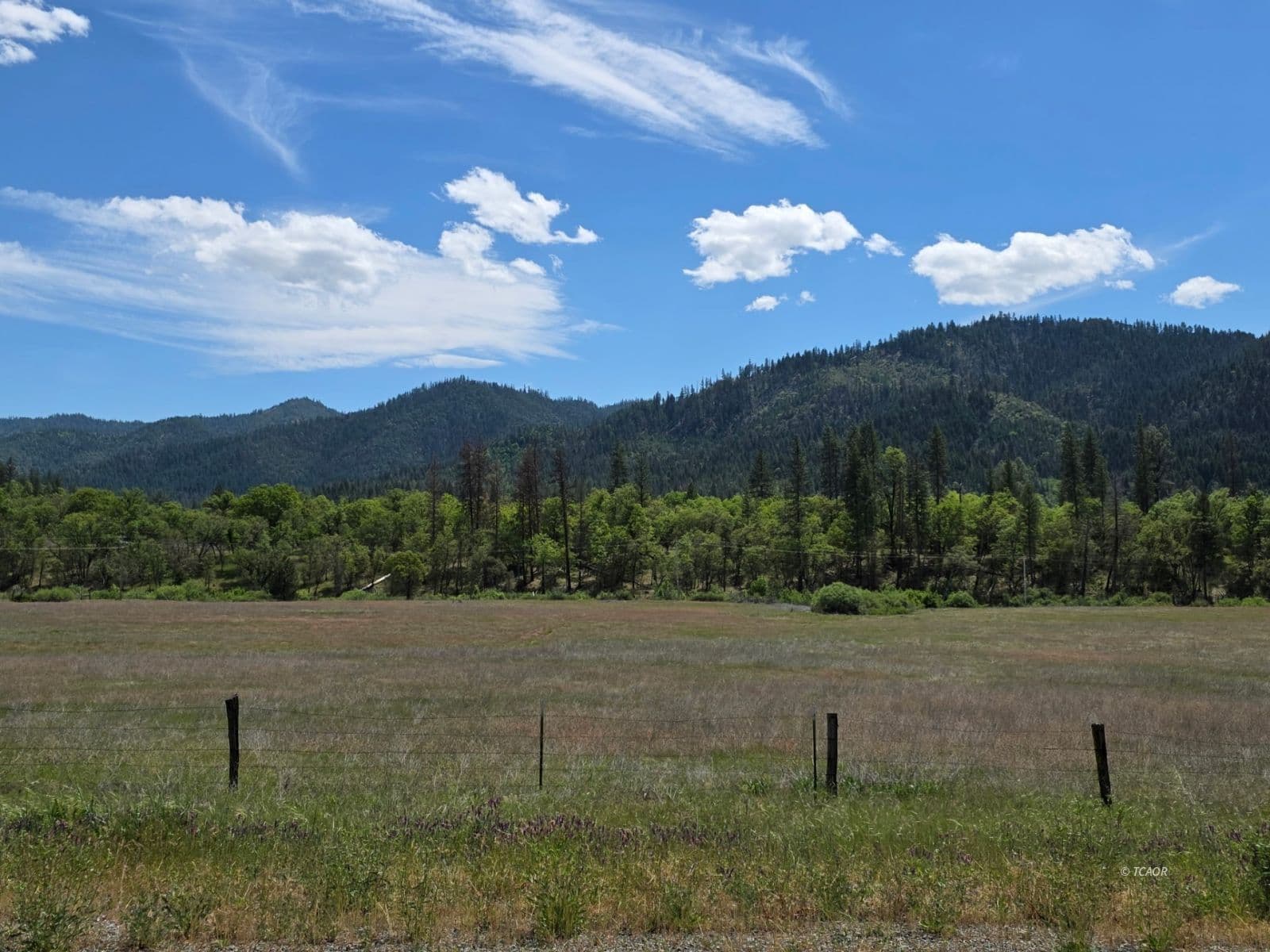 13660 State HWY 3