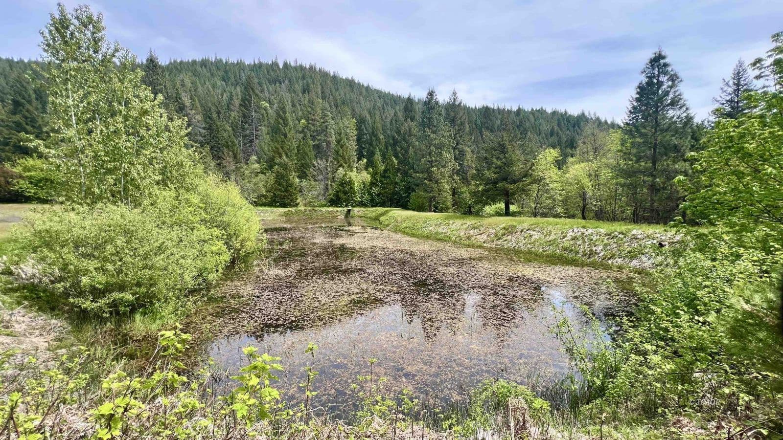 791 Rancheria Creek Rd 2