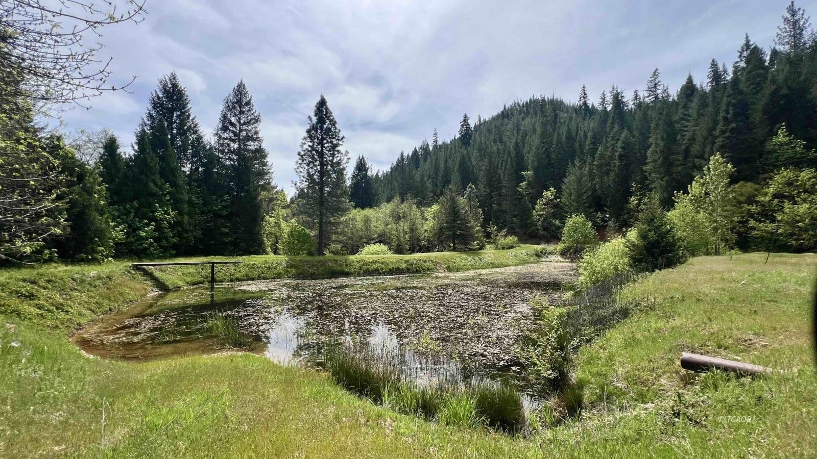 791 Rancheria Creek Rd