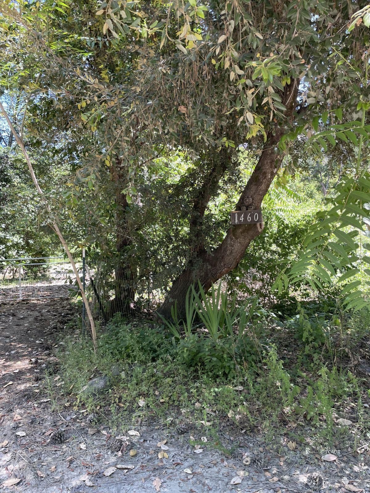 1460 Lake Rd 2