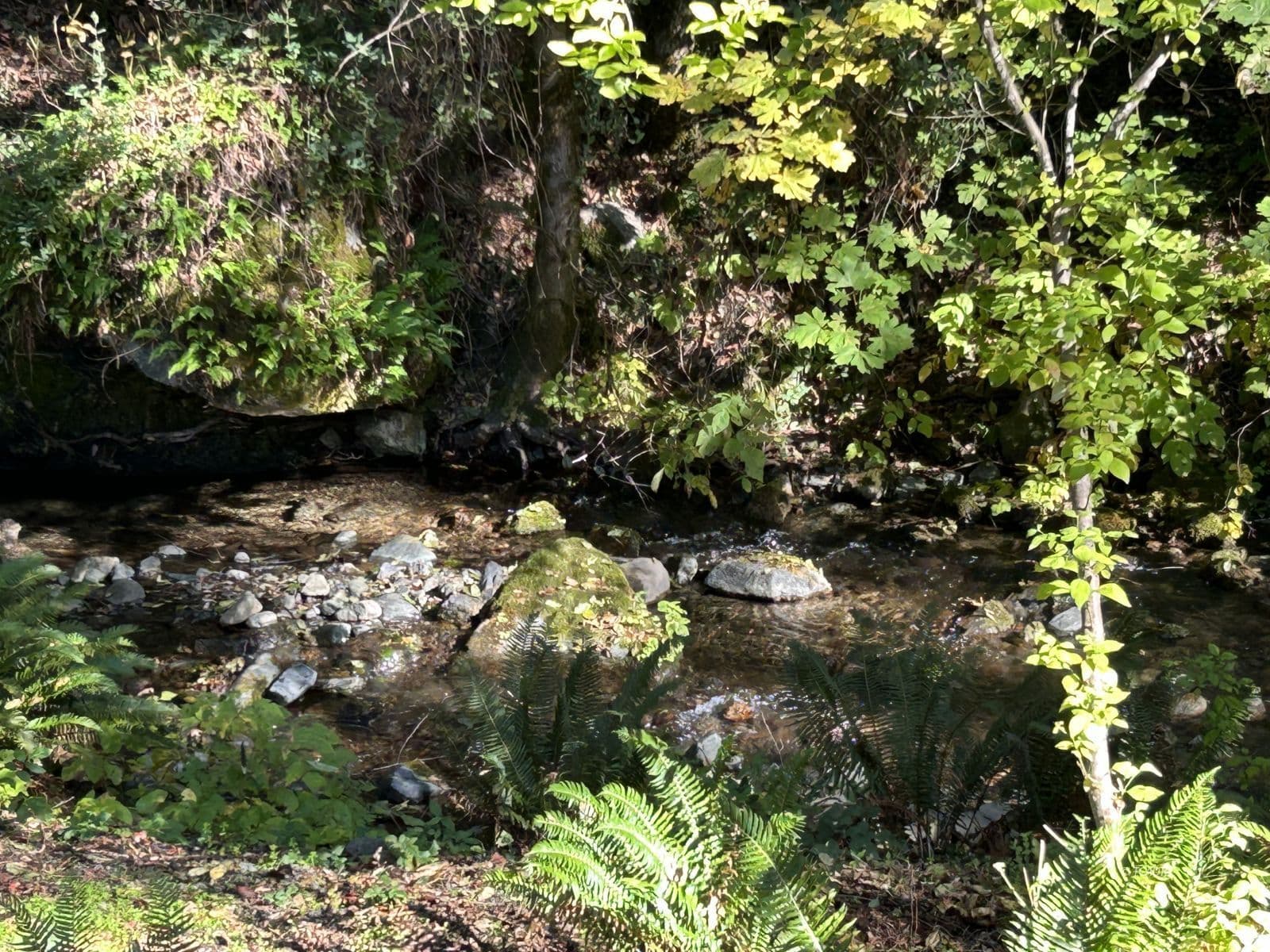 420 Price Creek Rd 2