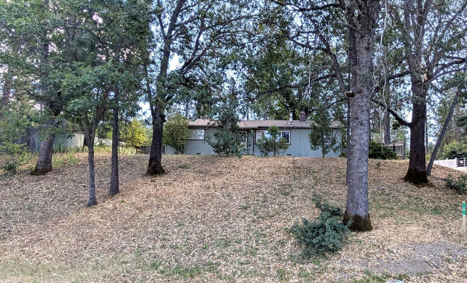 39 Pine Ave