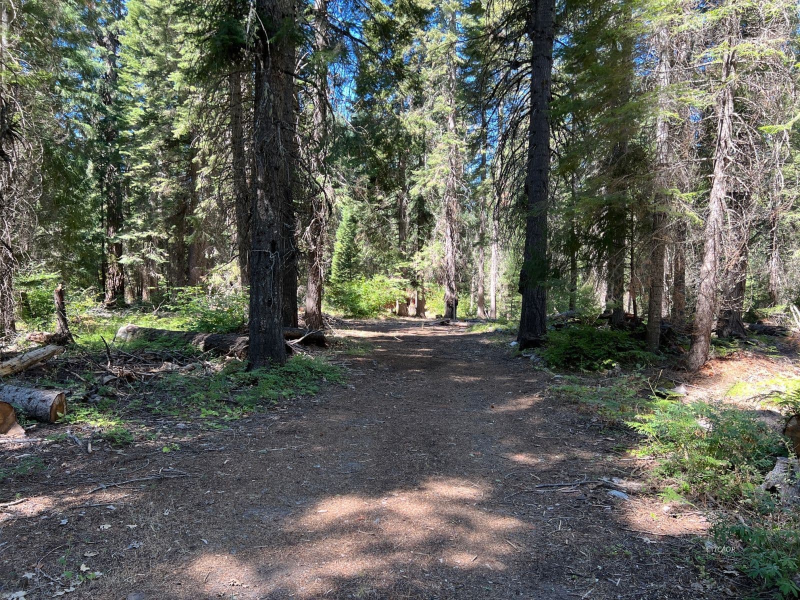 220 Wildwood Ranch Rd 2