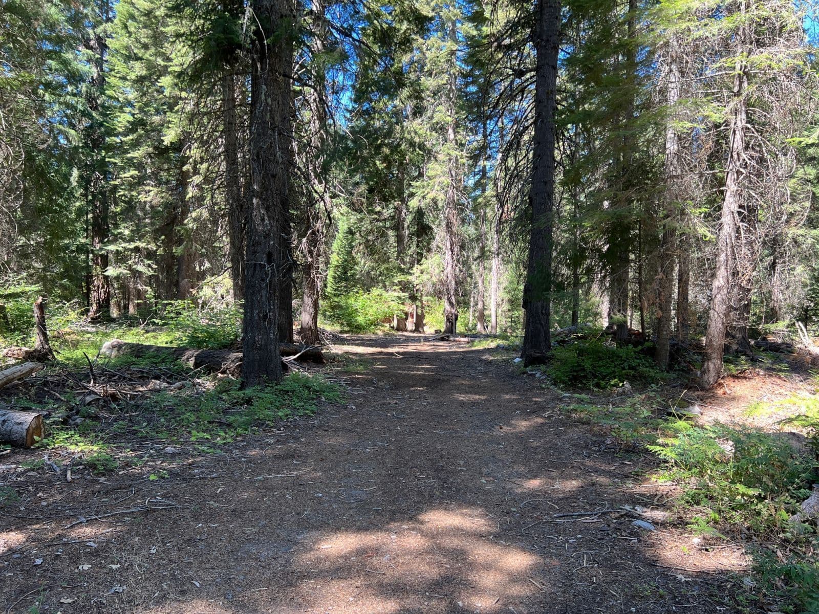 220 Wildwood Ranch Rd 3