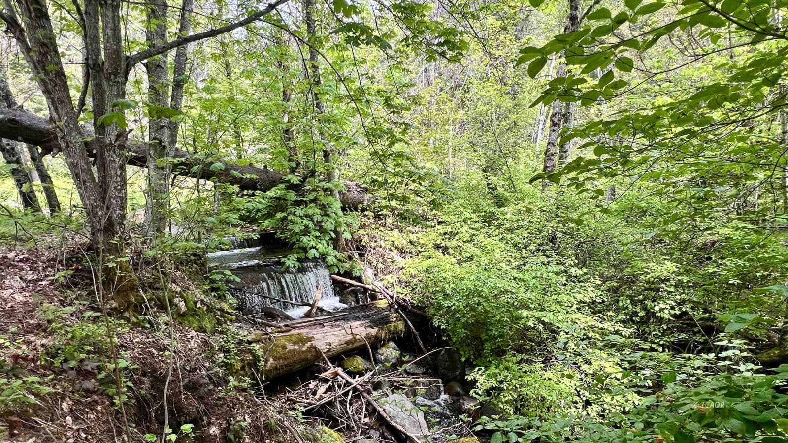 791 Rancheria Creek Rd 3