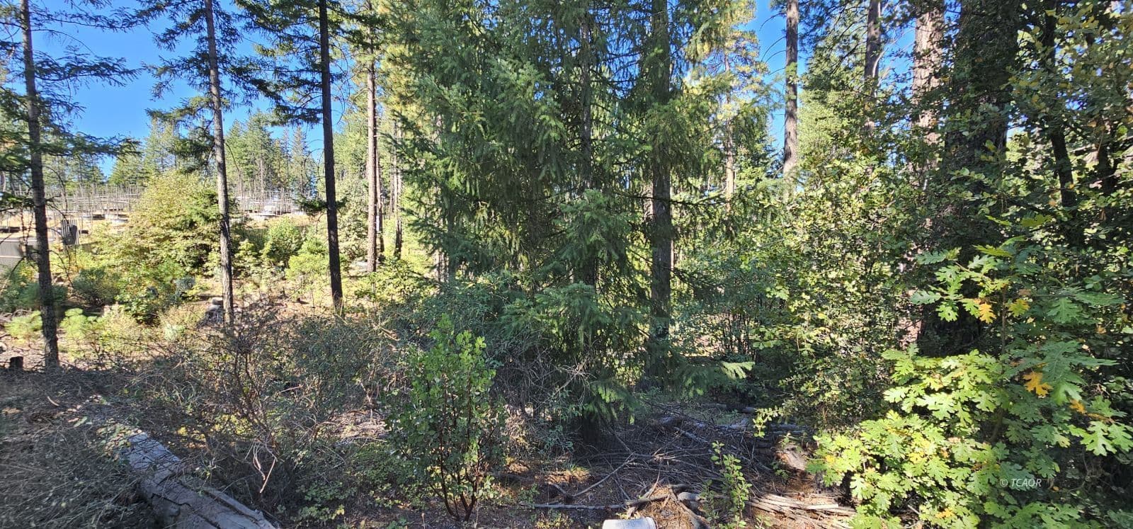 1480 Pine Forest Dr 2
