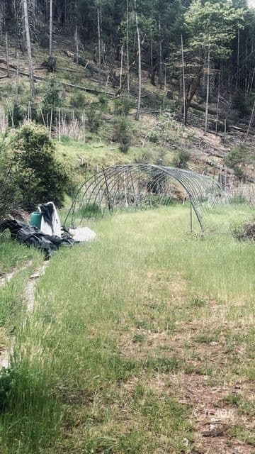401 Vitzthum Gulch Rd 3