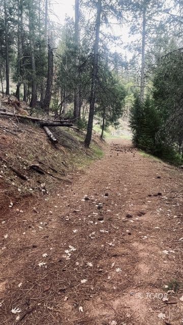 401 Vitzthum Gulch Rd 2