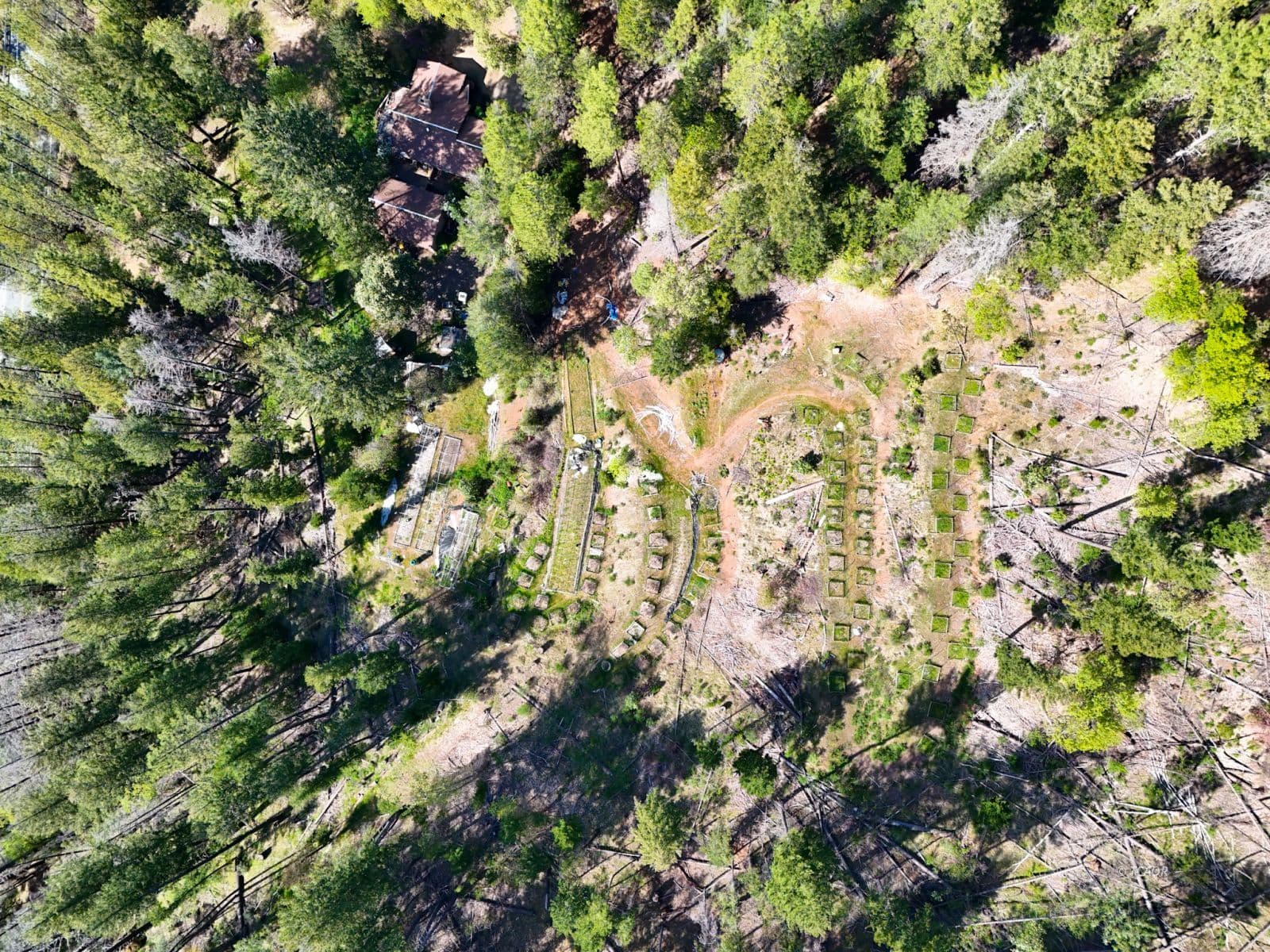 401 Vitzthum Gulch Rd