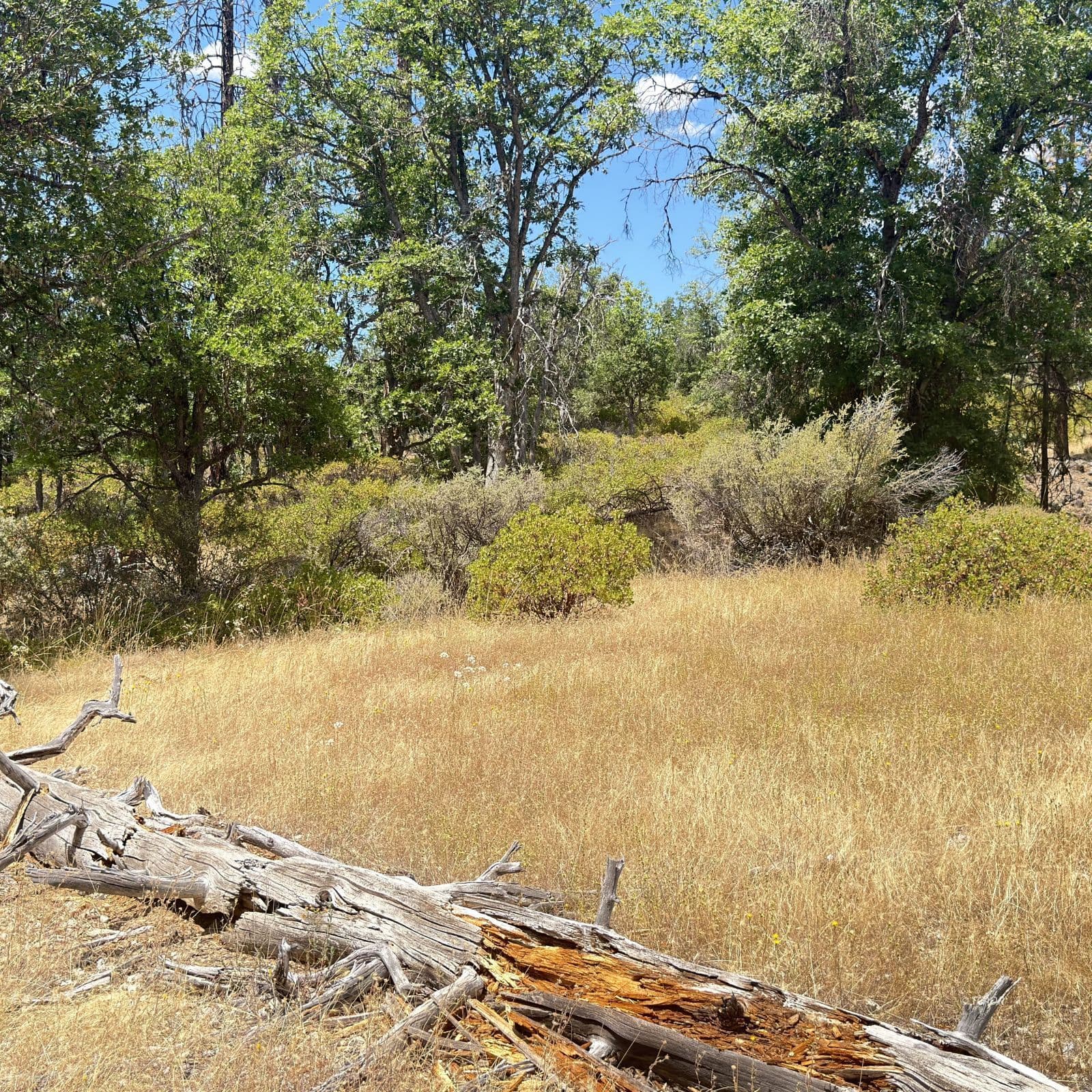 200 Creek Crossing Rd