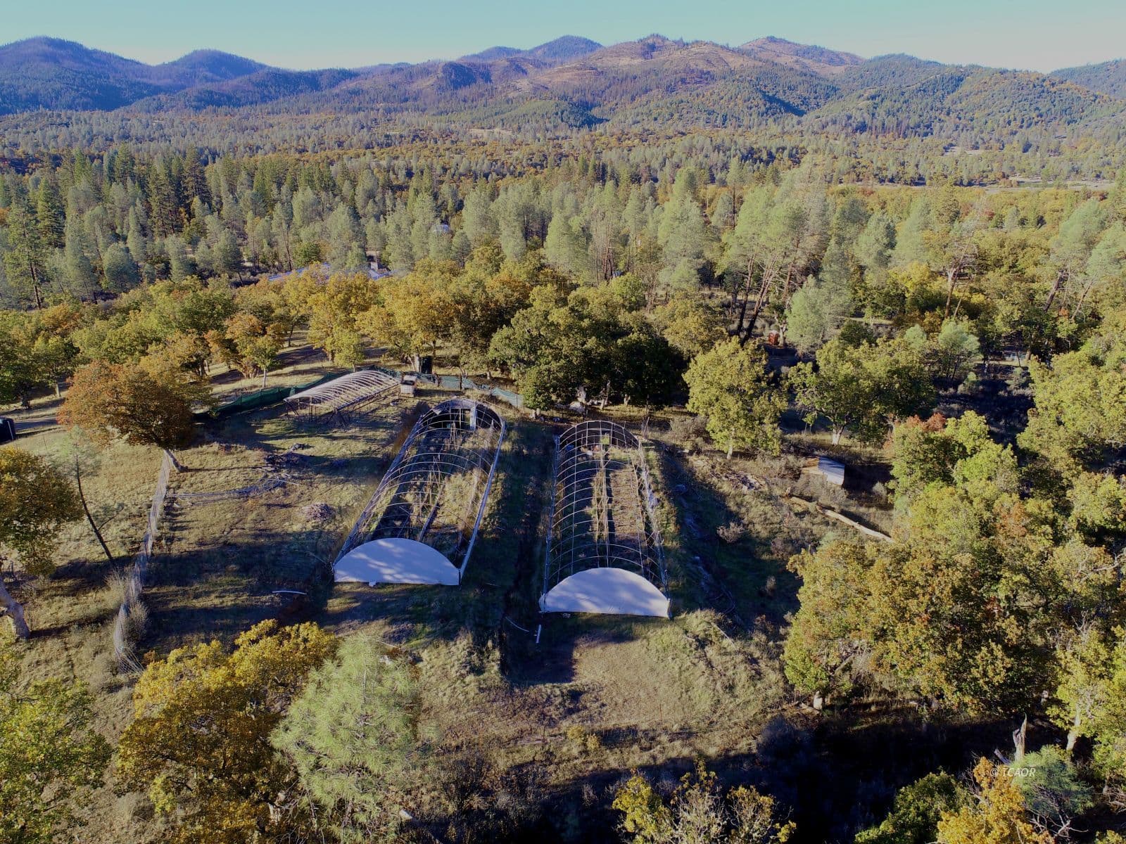 297 Frog Pond Ln 3