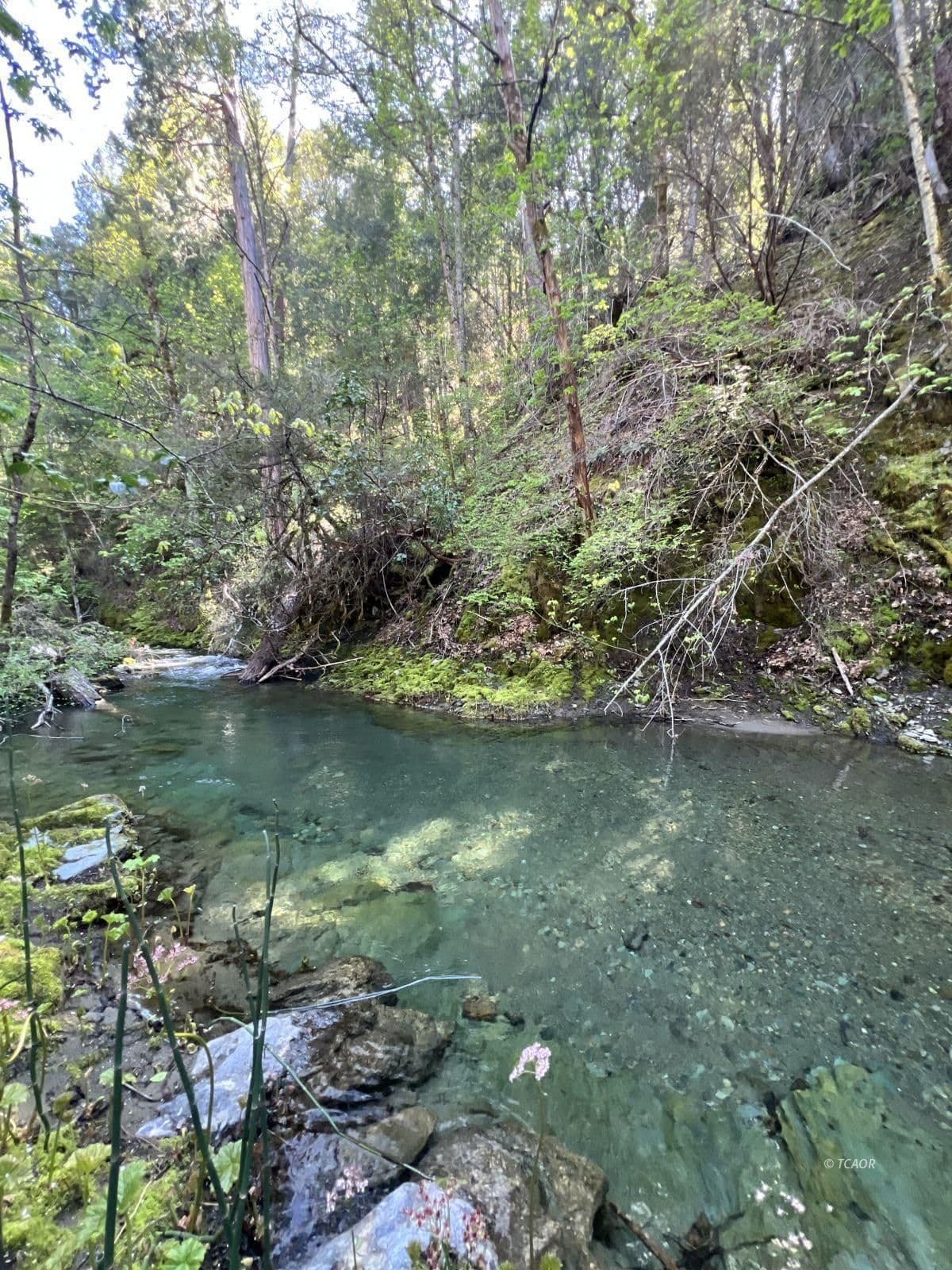 1500&1551 Reading Creek Rd. 3