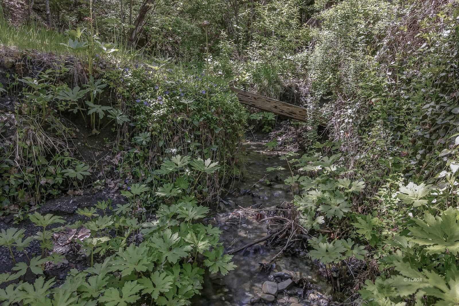 720 Pelletreau Ridge Rd 3