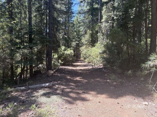 Castle Lake Rd 3