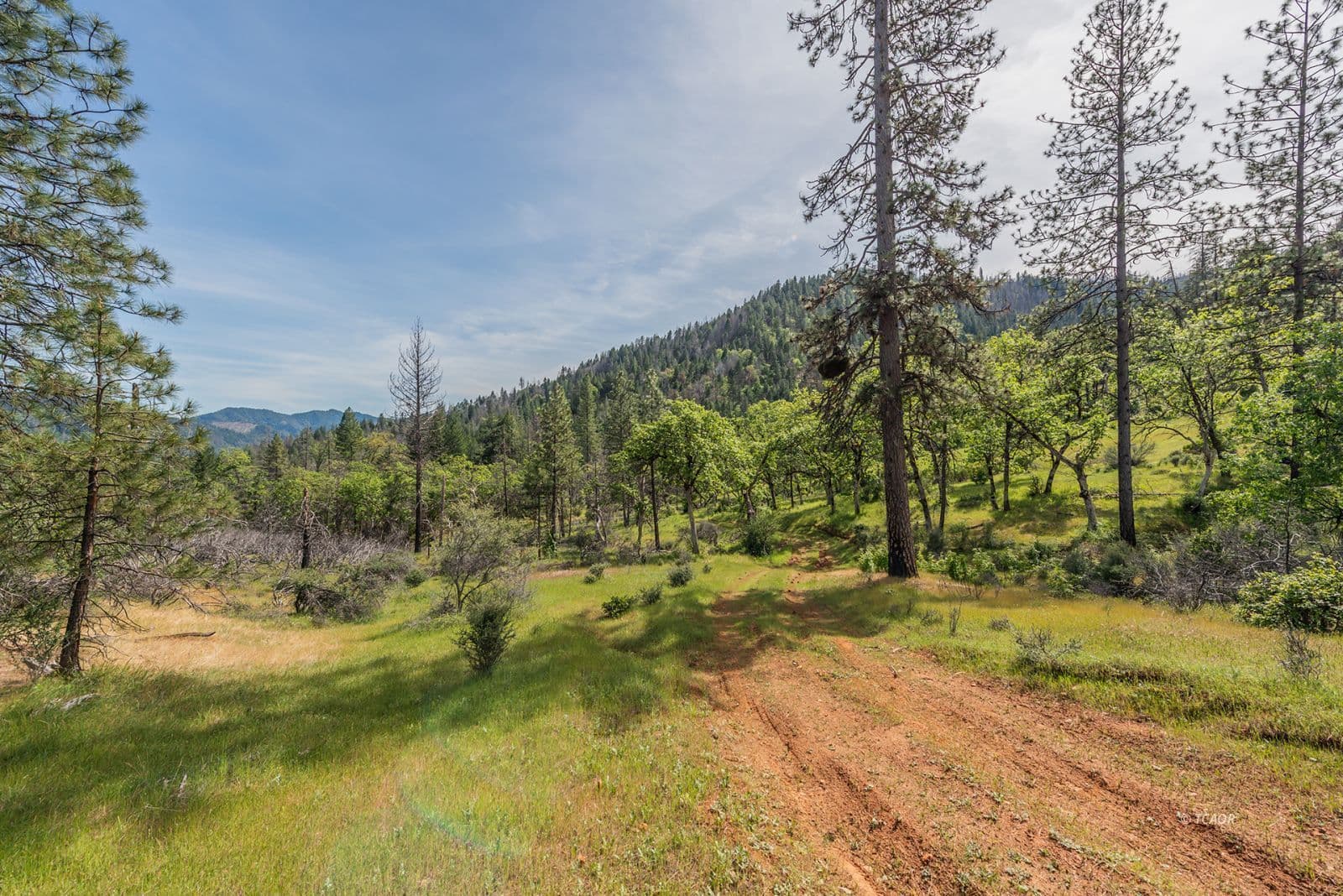 1780 Dutch Creek Rd 3