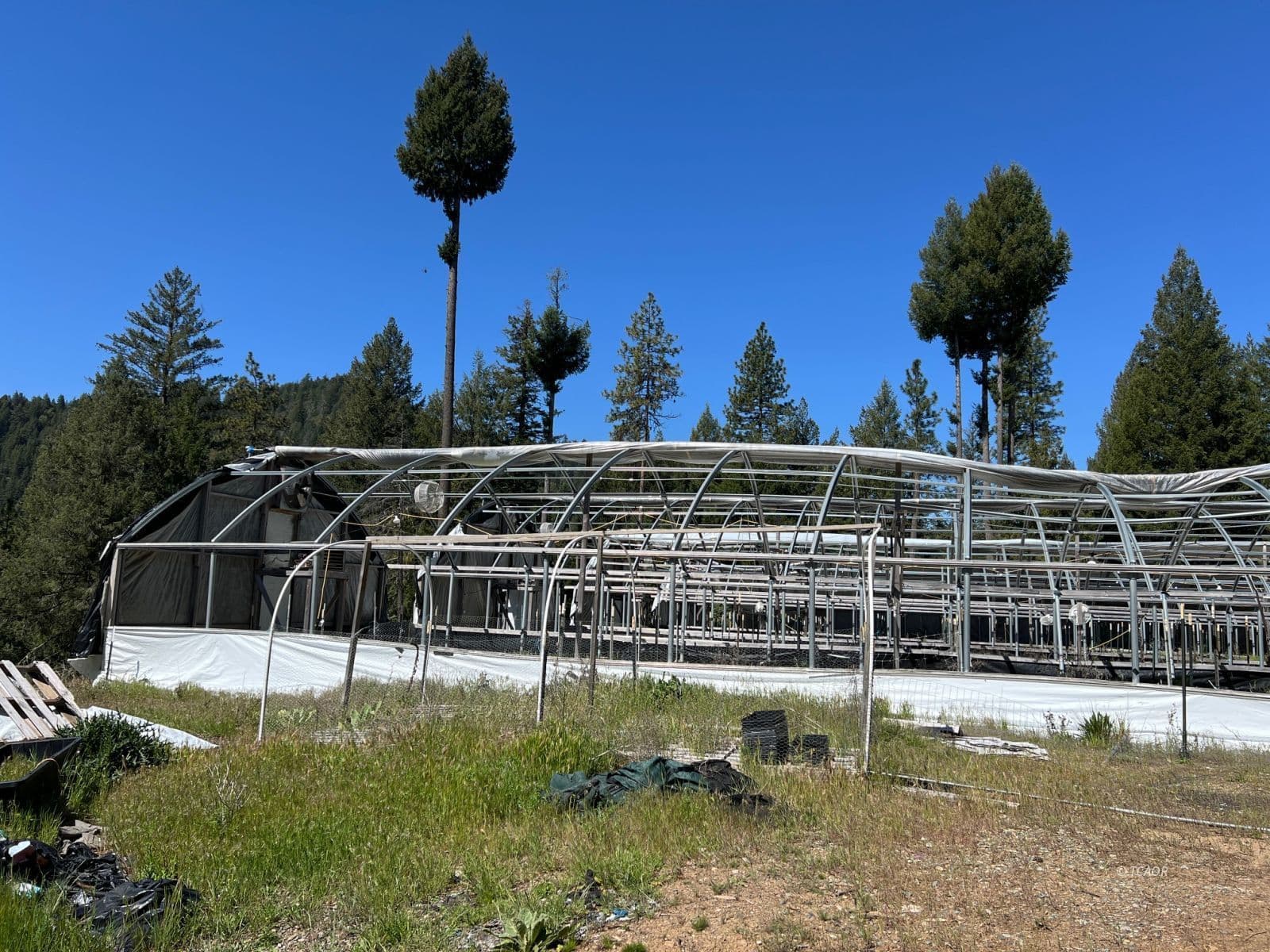 19200 Halls City Creek Rd 3