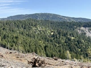12350 Forest Service Rt 1 Rd