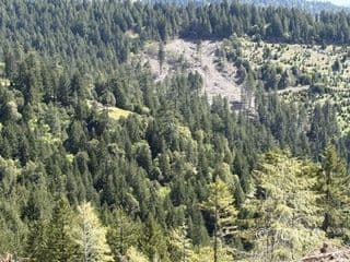 12350 Forest Service Rt 1 Rd 2