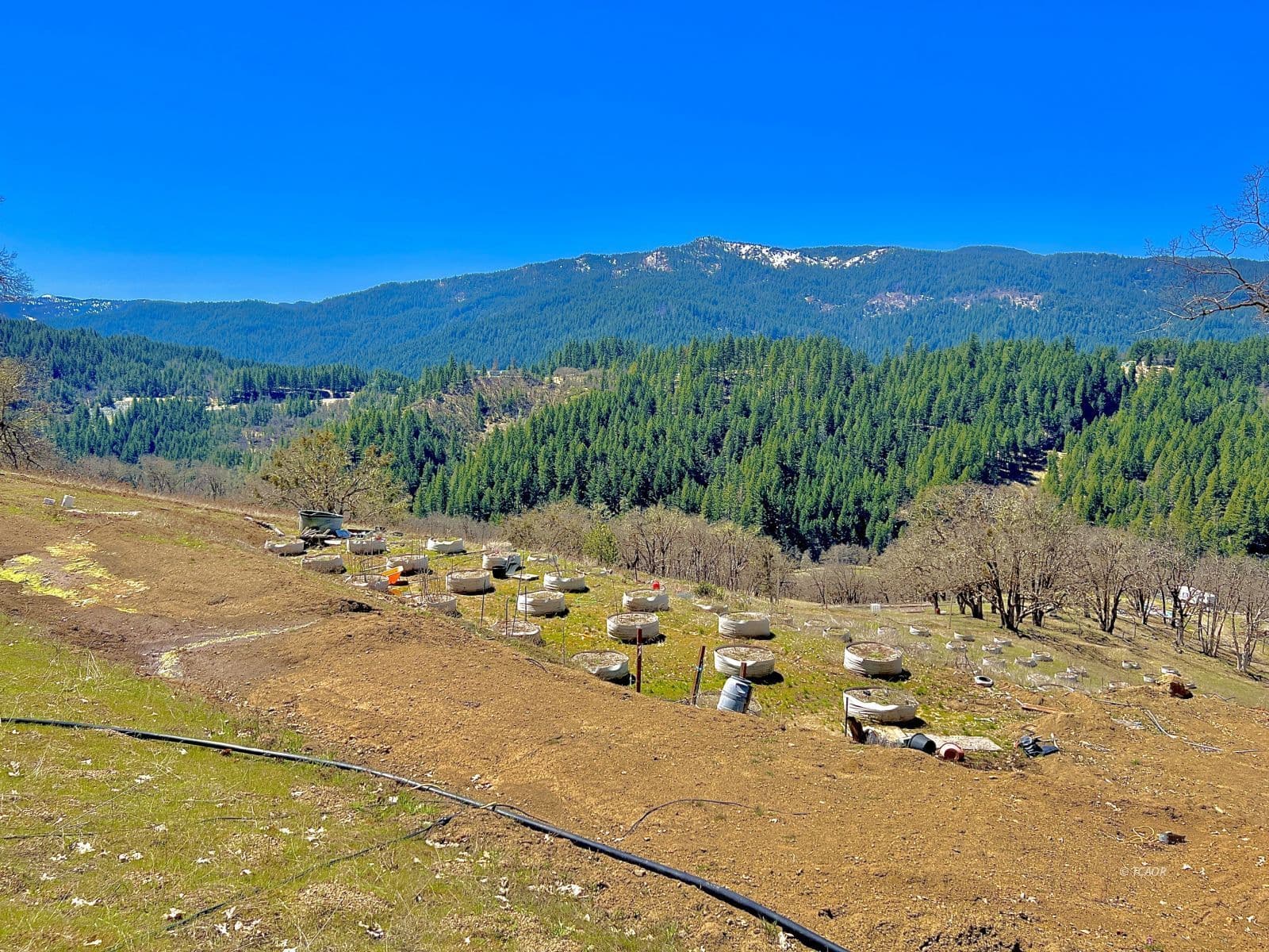 1786 Countyline Creek Rd 3