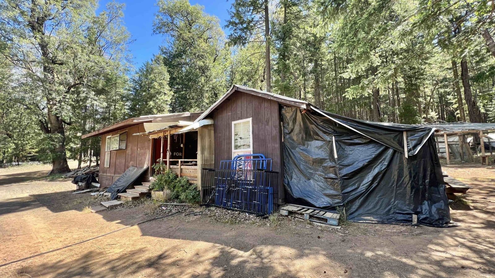 2020 Trinity Pines Dr 2