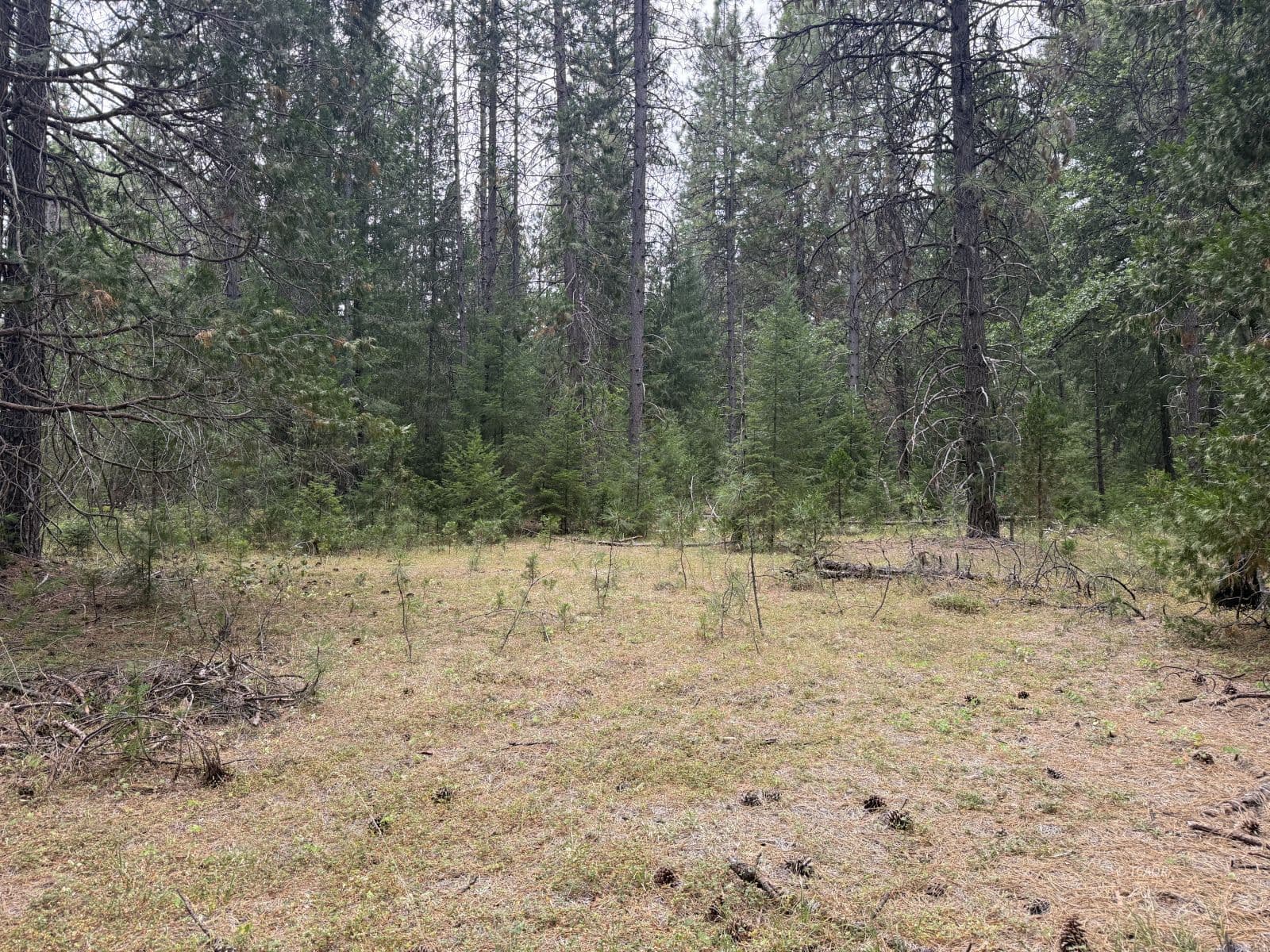 410 Gratten Flat Rd 3