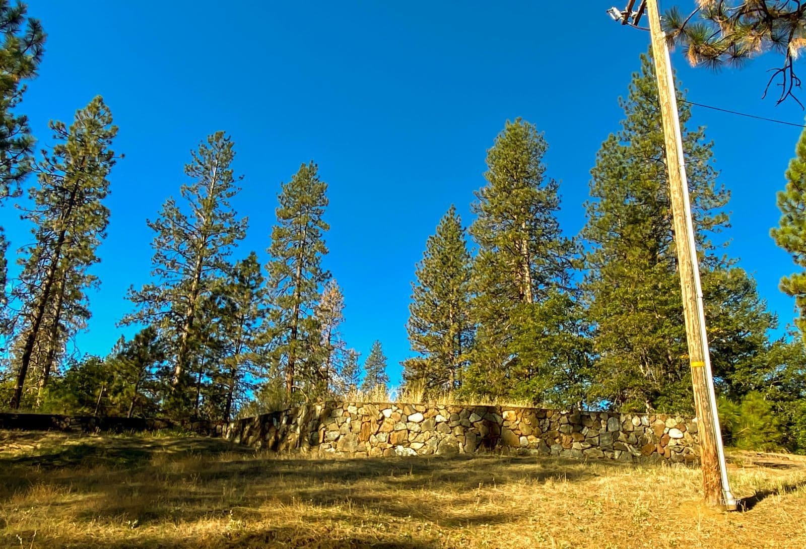 191 Forest Ave 2