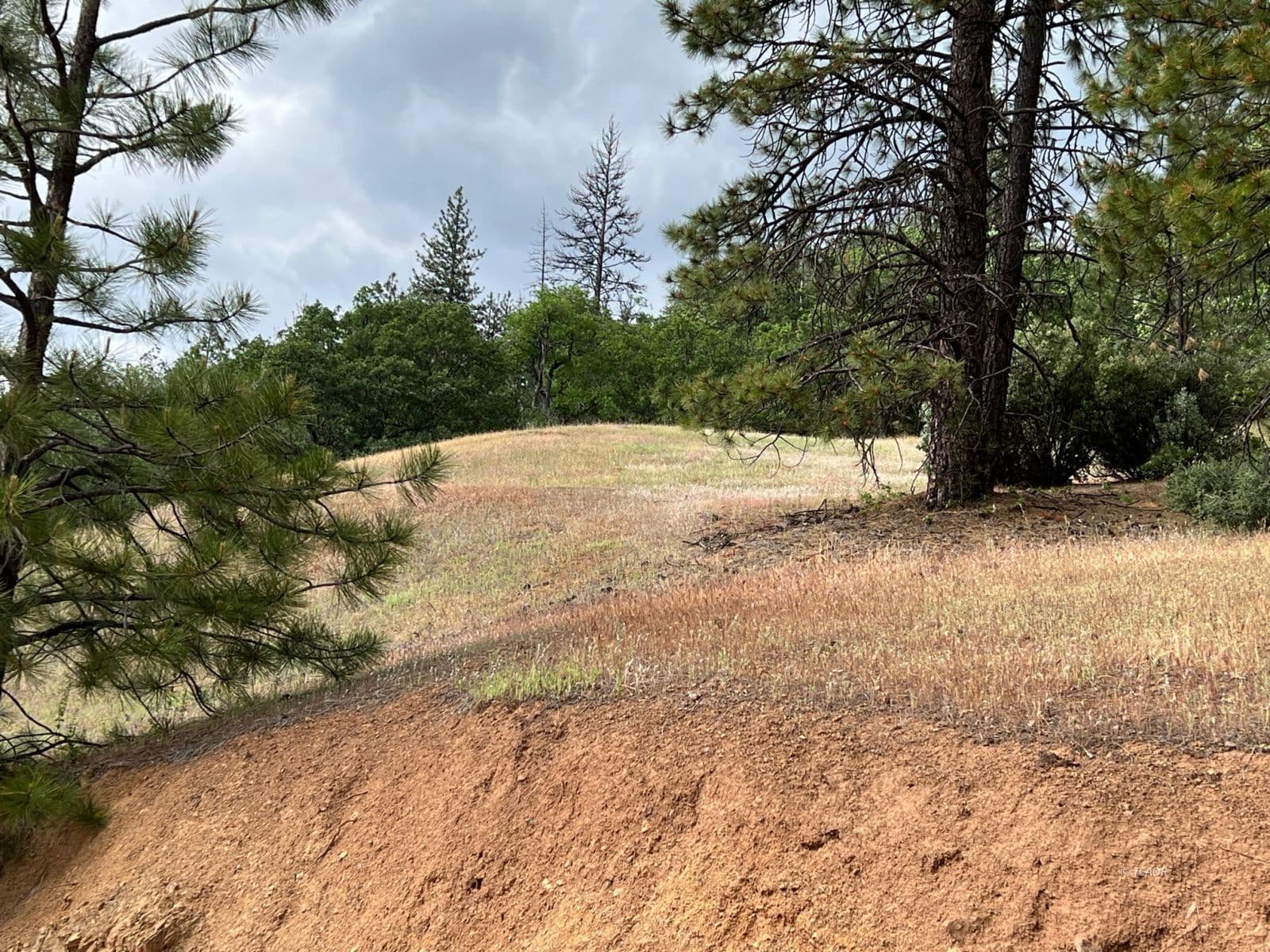 14991 State Hwy 3 2