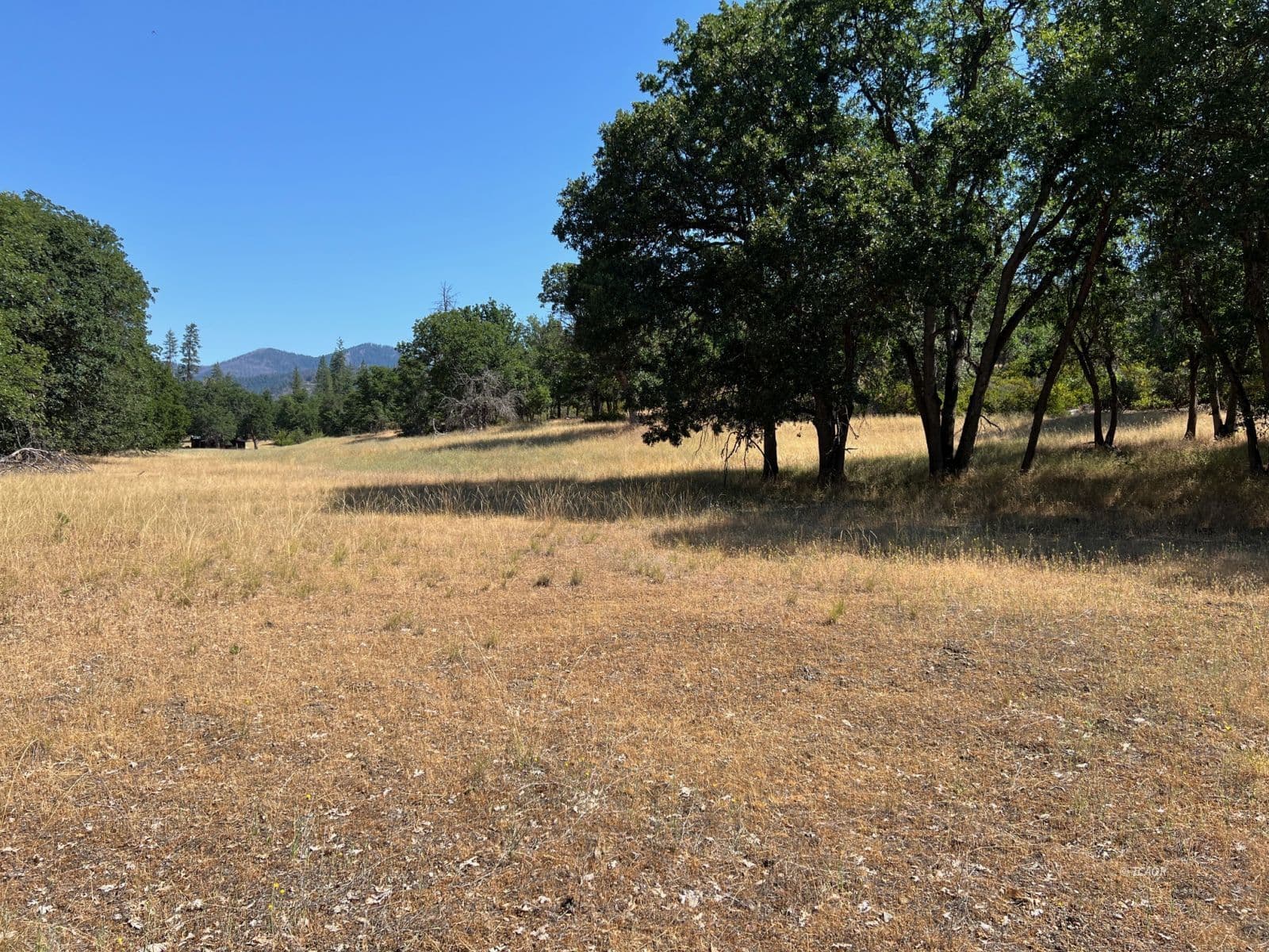 200 Creek Crossing Rd