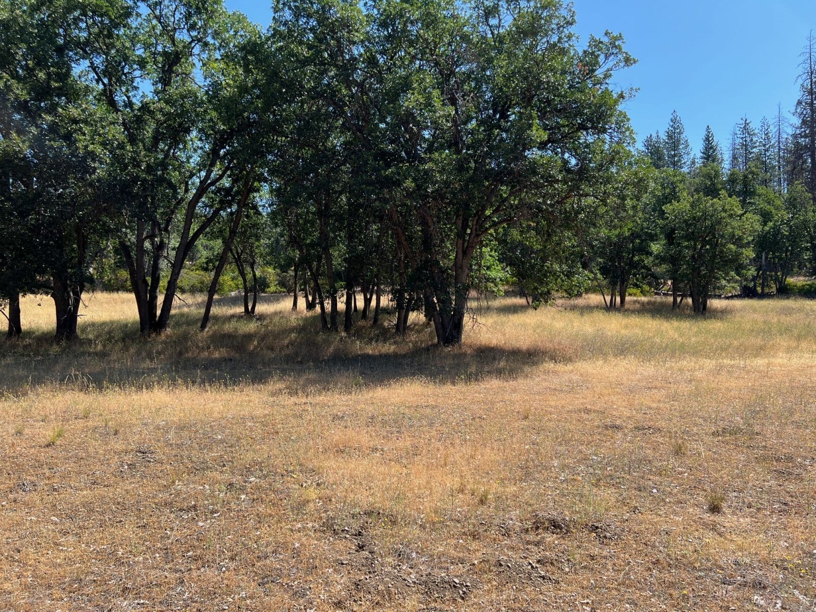 200 Creek Crossing Rd 2