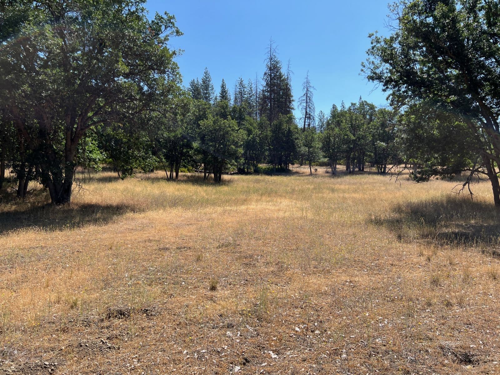 200 Creek Crossing Rd 3