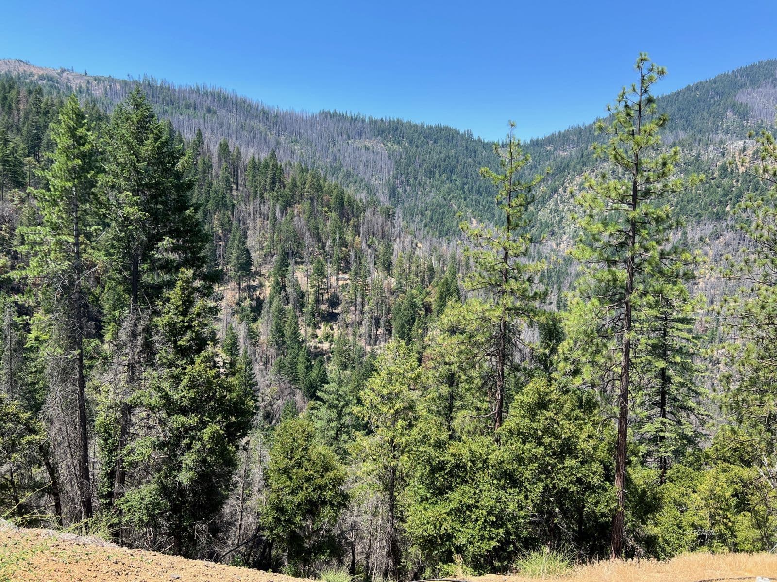 000 Hayfork Summit
