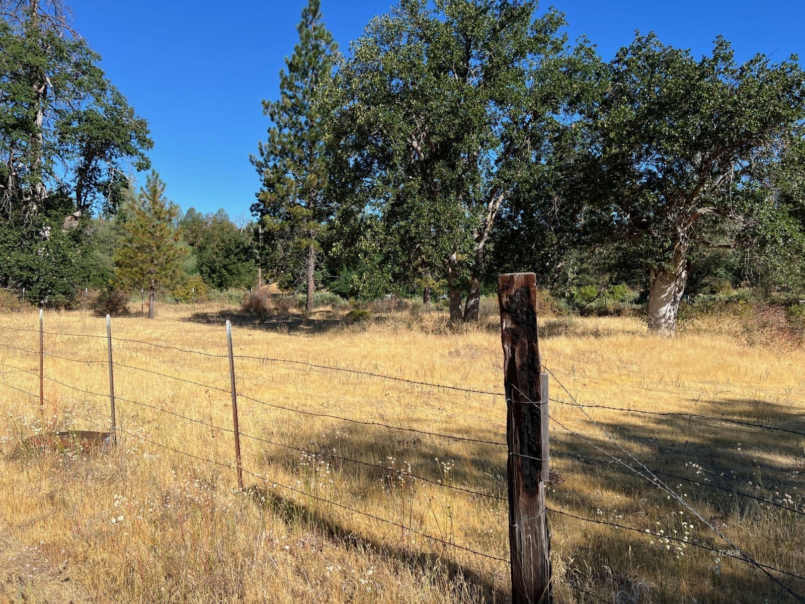 13070 State Hwy 3