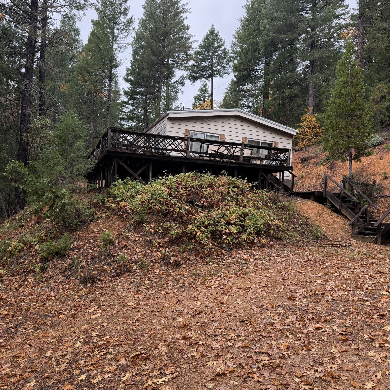 107 Alpine Court