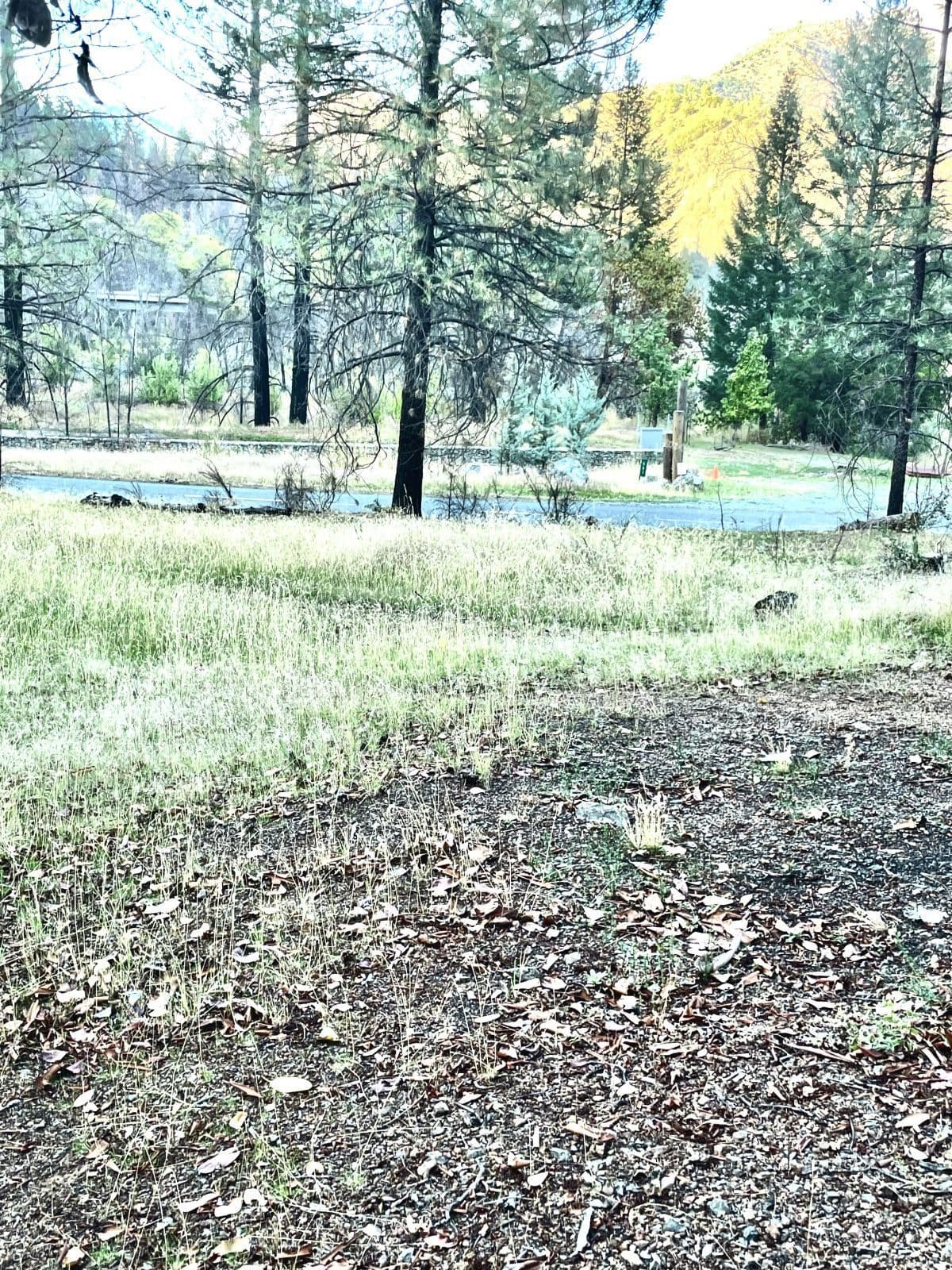 Dutch Creek Road