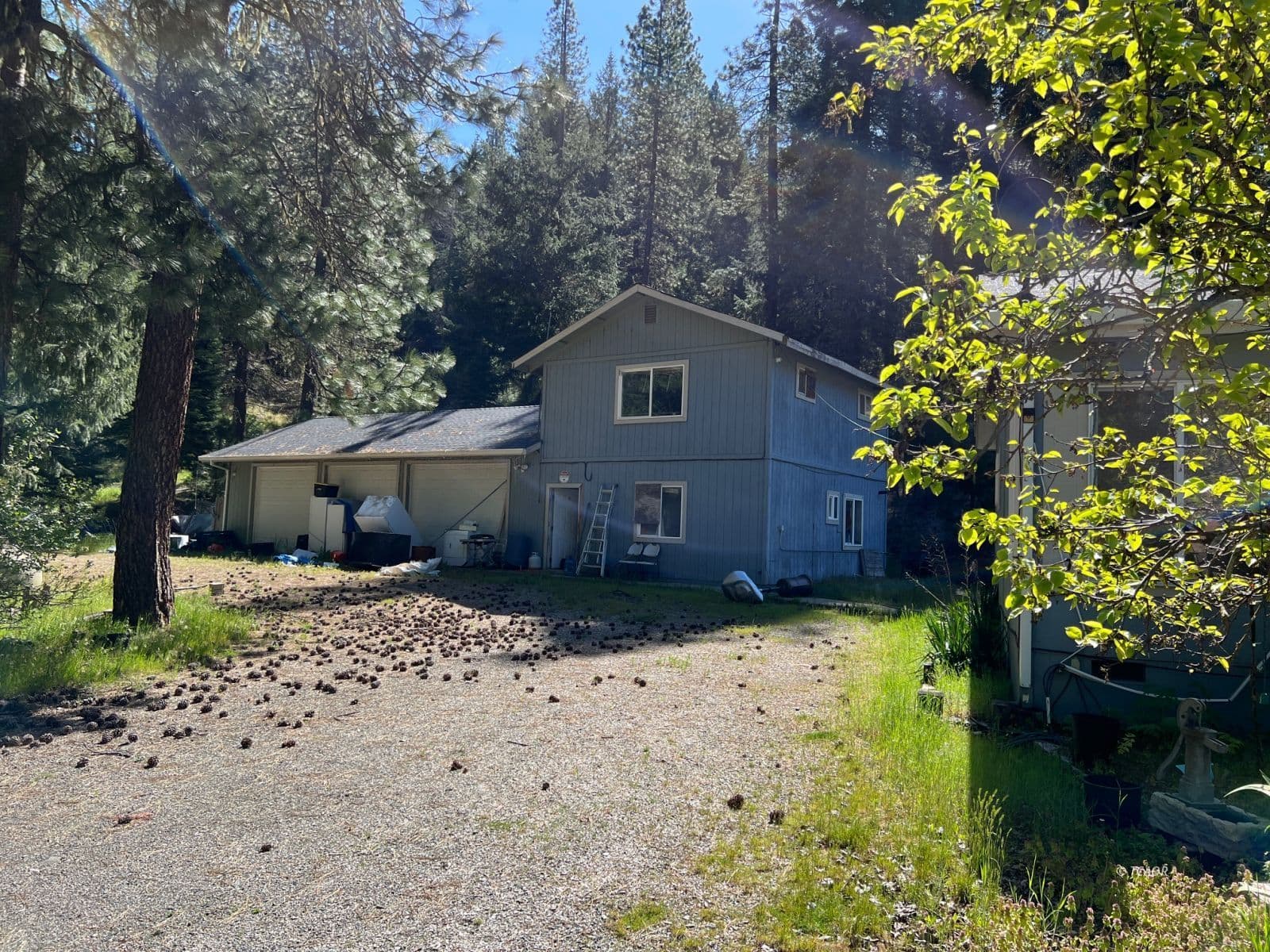 2401 Wildwood Rd 3