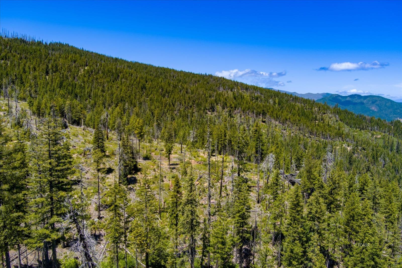 000 Forest Rte 4N20 2
